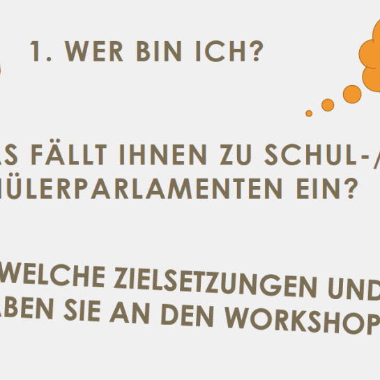 Auftaktkongress - Workshop: Schülerparlamente / Screenshot: Sabine Kehr