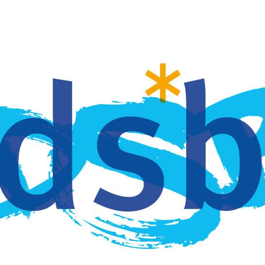 Logo_ds*b