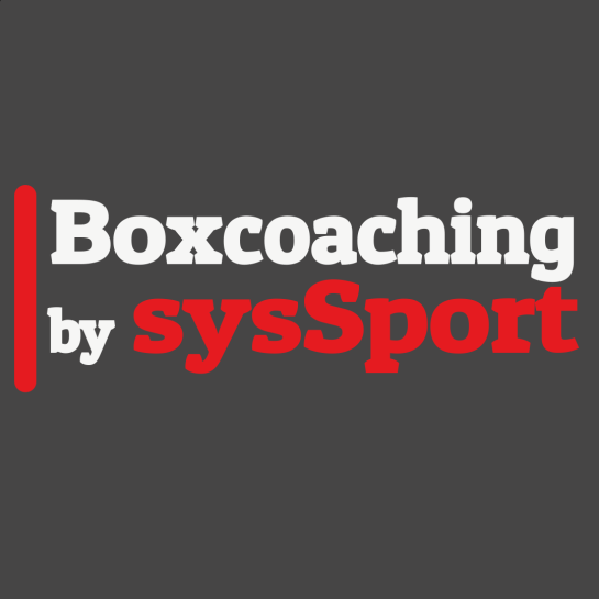 Logo_Boxen